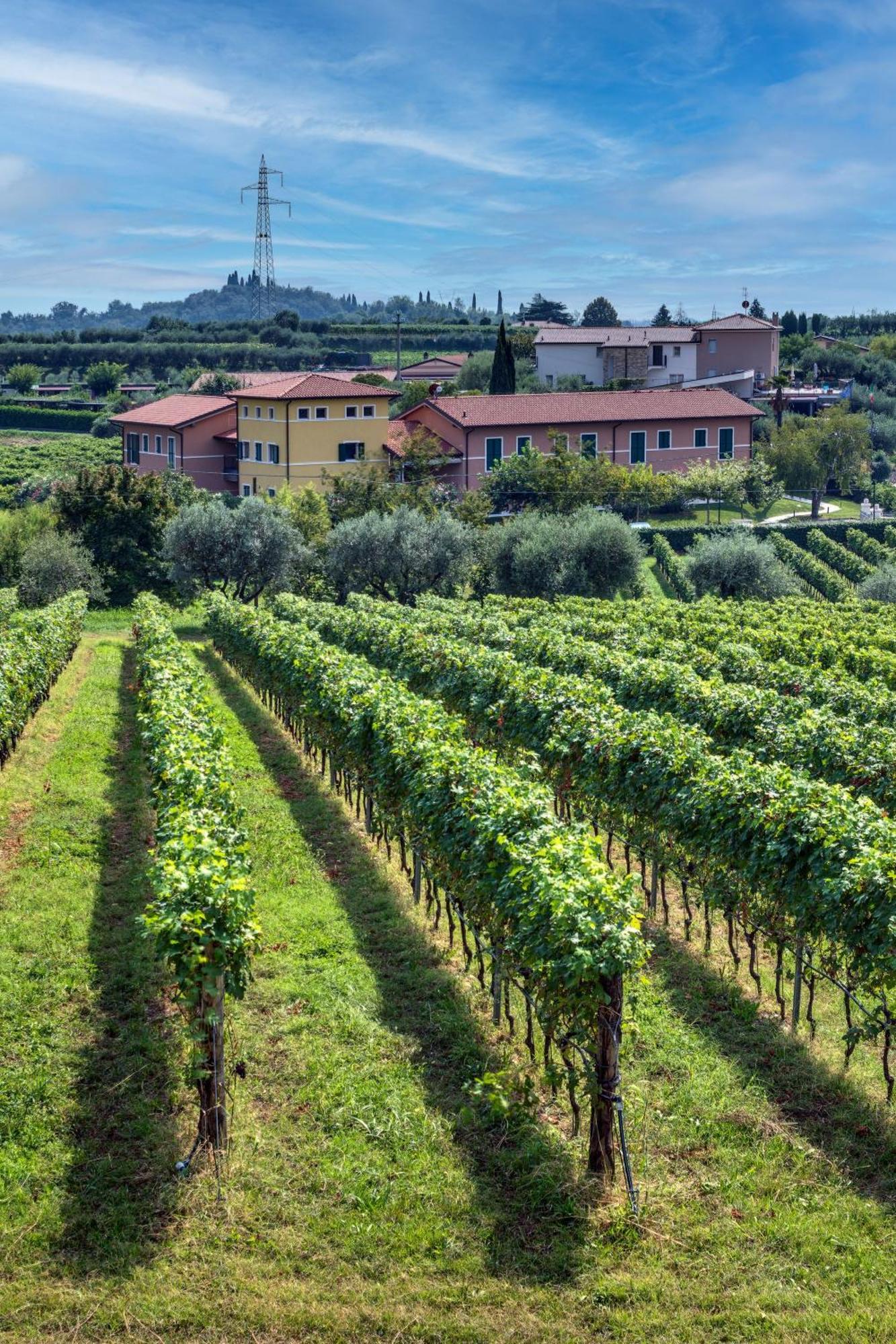 Tenuta Di Palu 바르돌리노 외부 사진
